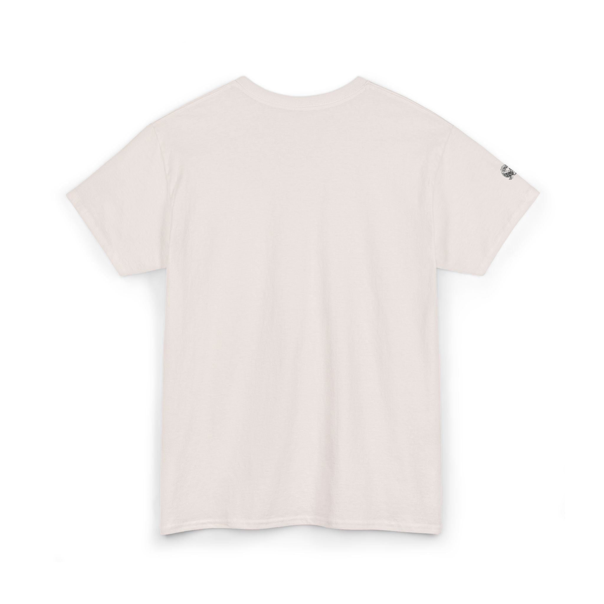 Ice grey t-shirt on a white background